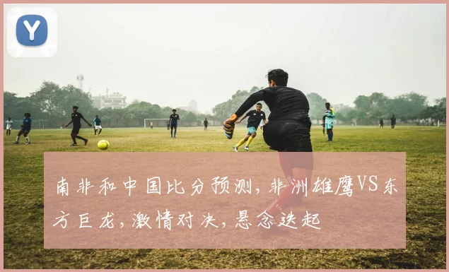 南非和中国比分预测,非洲雄鹰VS东方巨龙,激情对决,悬念迭起